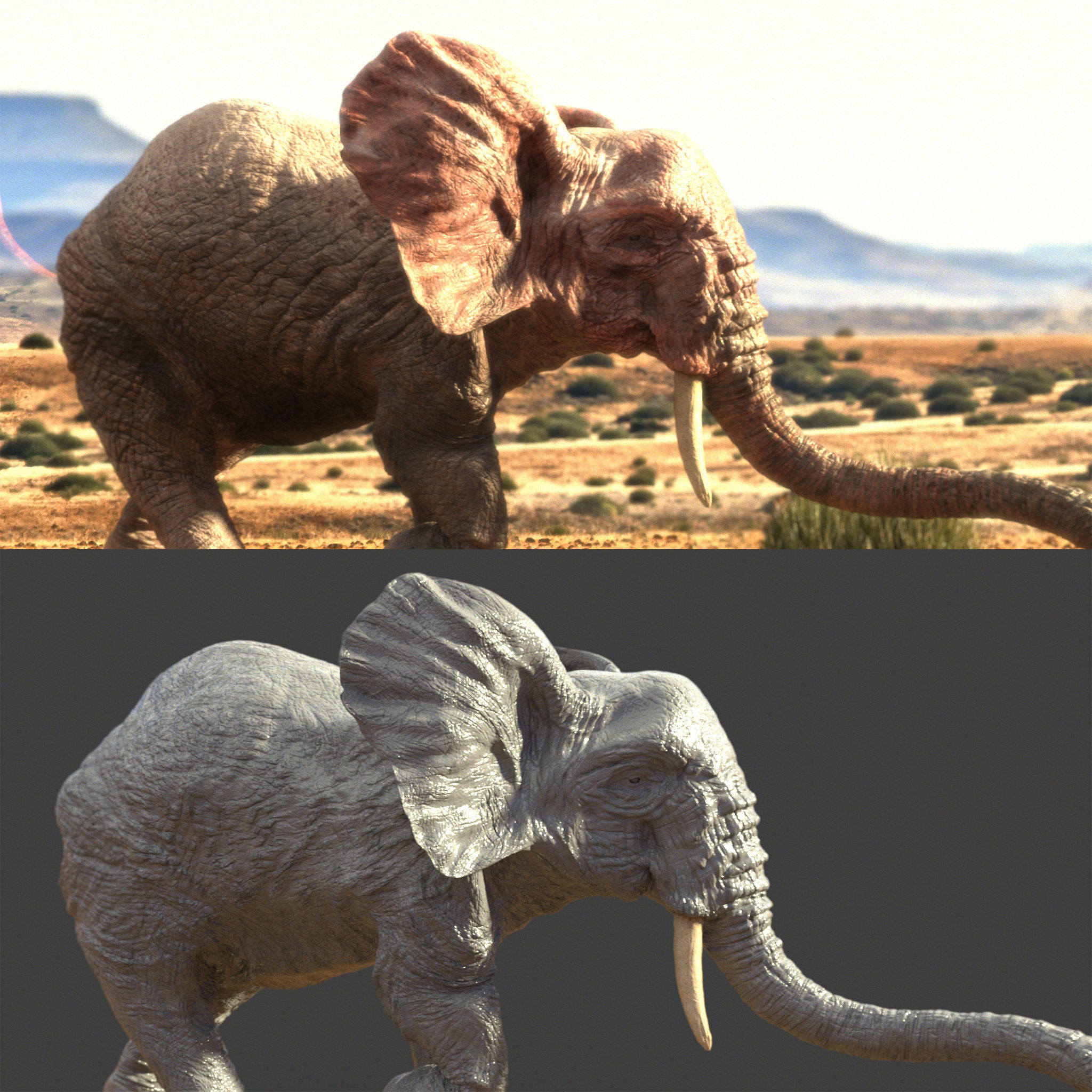 Elephant with tusks 3D model_2
