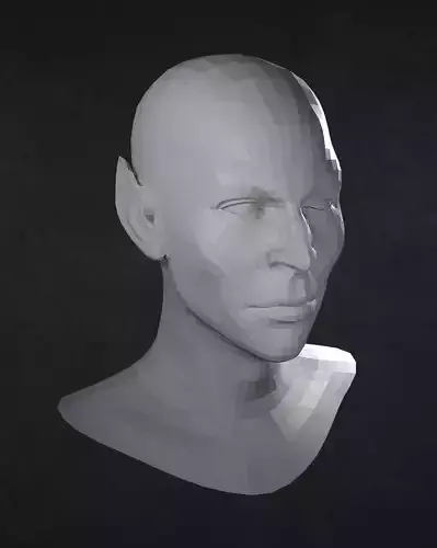 Male Elf head