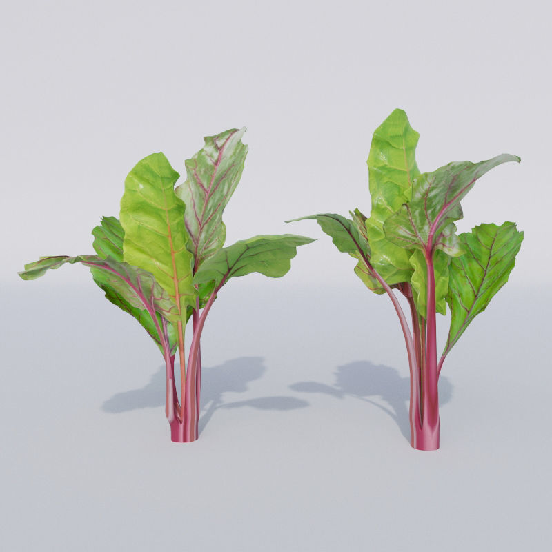 Vegetable patch Low-poly 3D model_4