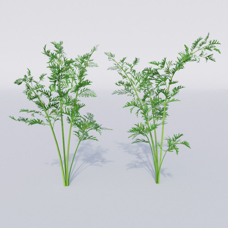 Vegetable patch Low-poly 3D model_2