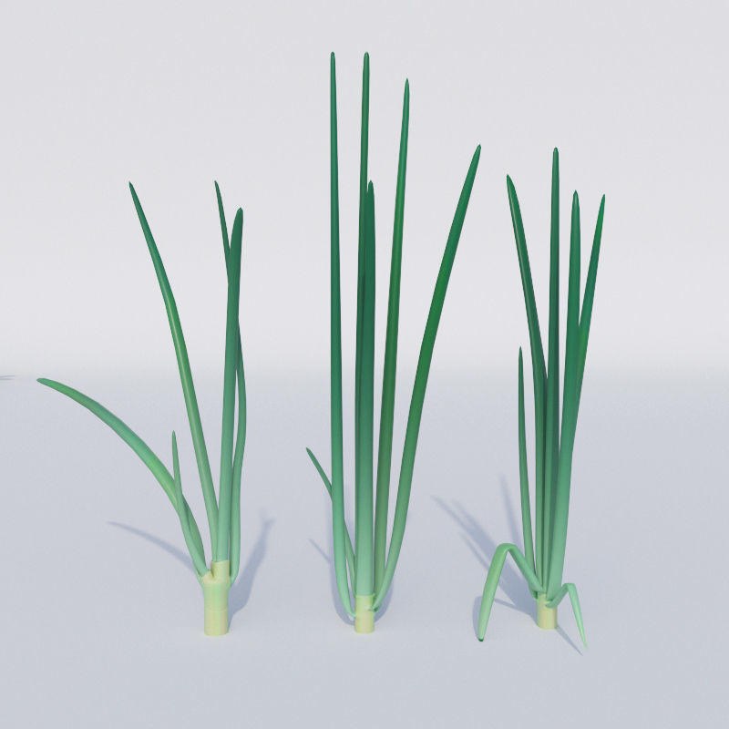 Vegetable patch Low-poly 3D model_3