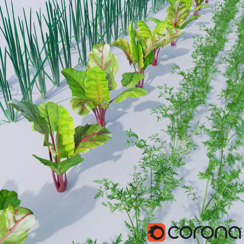 Vegetable patch Low-poly 3D model_0