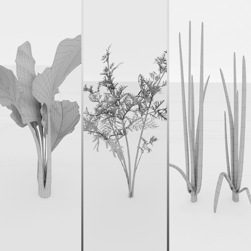 Vegetable patch Low-poly 3D model_5