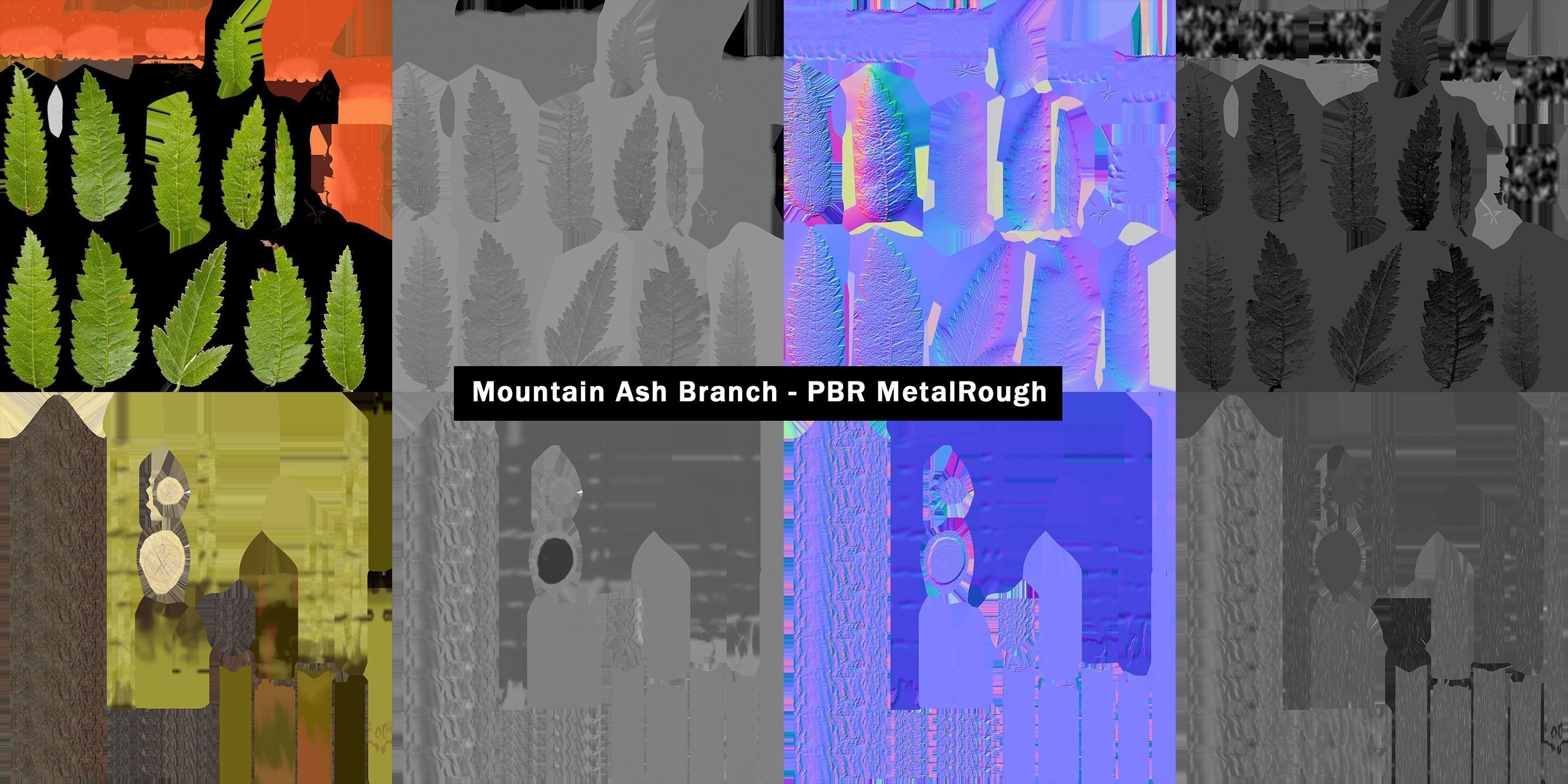 School Stationery with Mountain Ash Branch 3D model_10