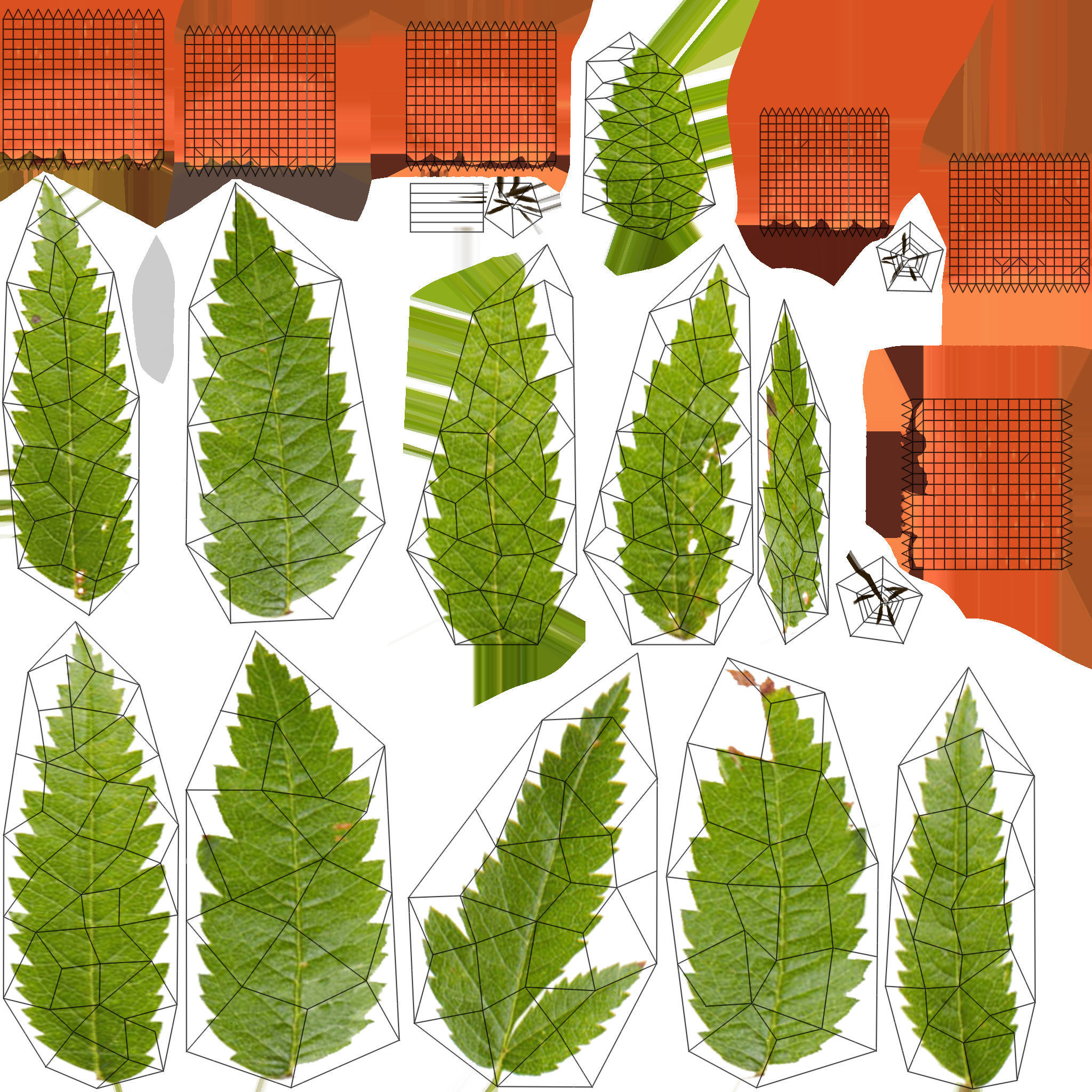 School Stationery with Mountain Ash Branch 3D model_8