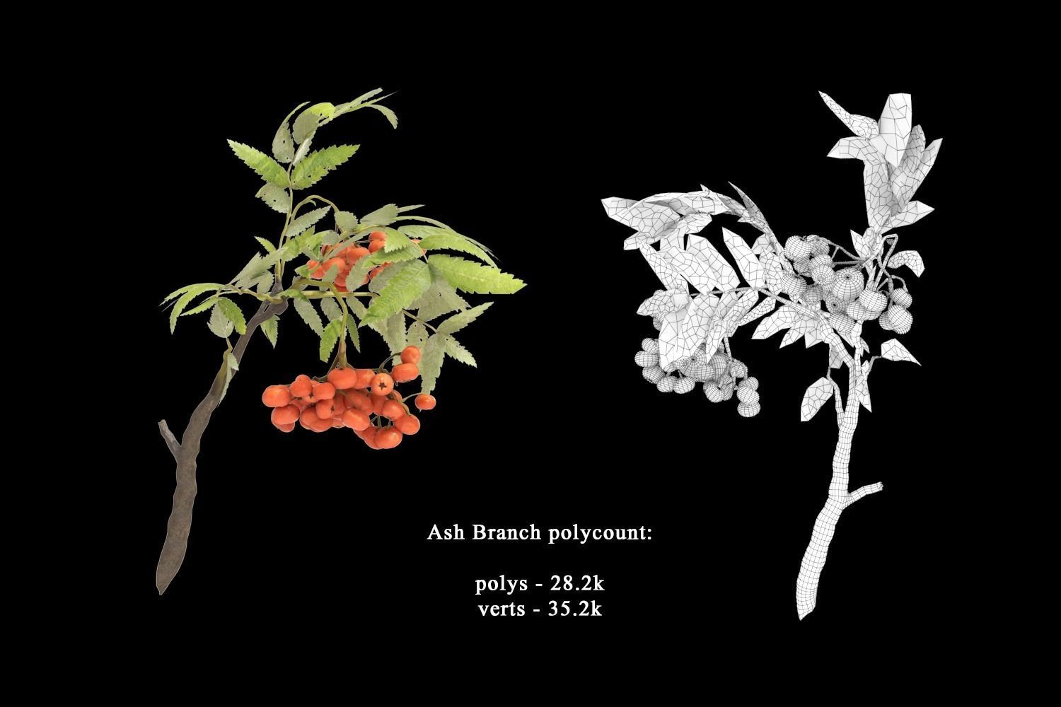 School Stationery with Mountain Ash Branch 3D model_4