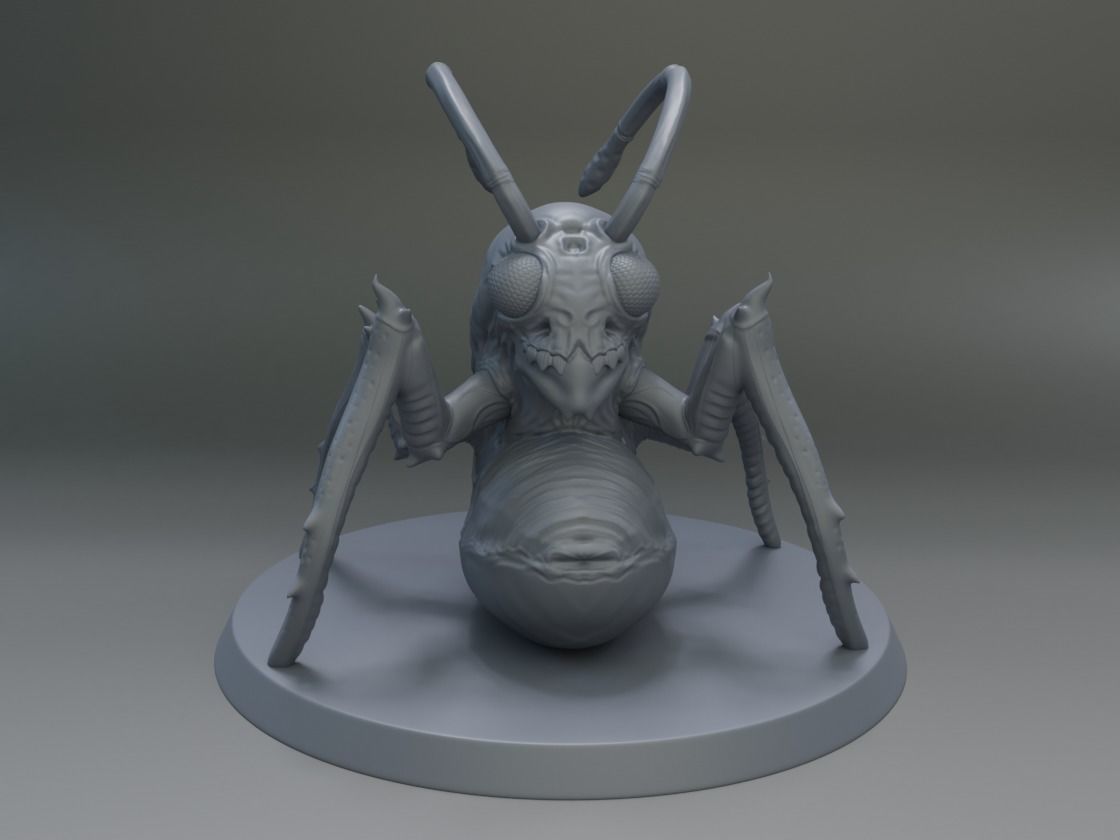 CHRYSALIS insect 3D print model_1
