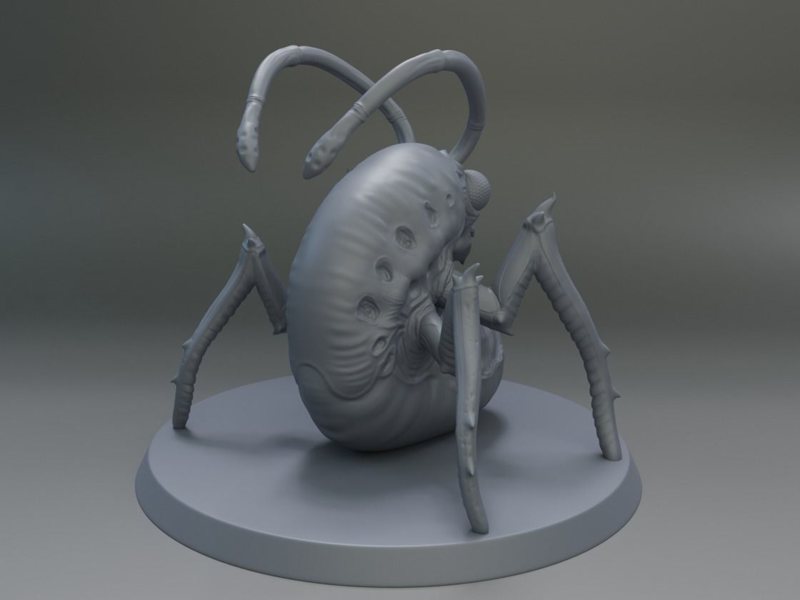 CHRYSALIS insect 3D print model_3