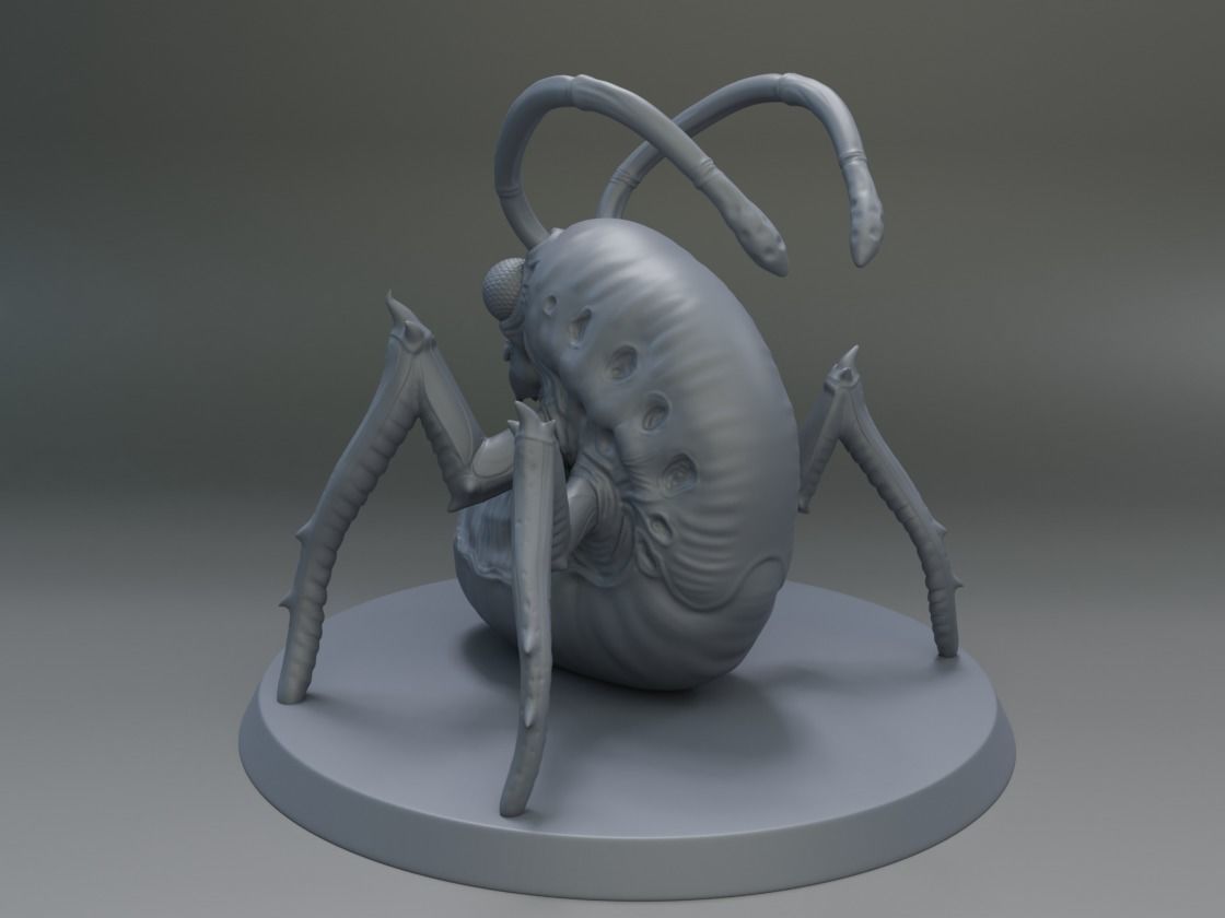 CHRYSALIS insect 3D print model_4