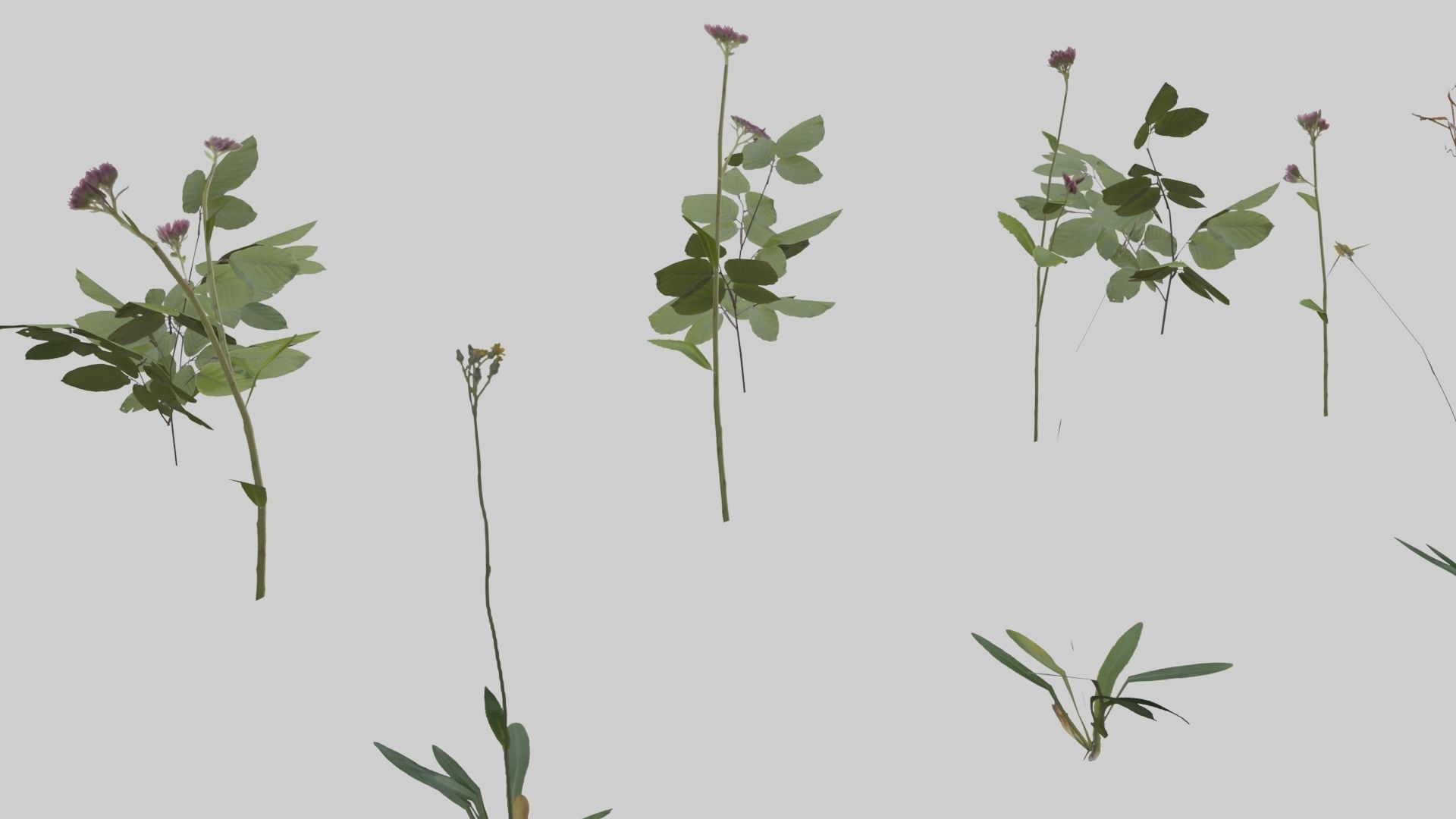 Low Poly Japanese Shinto Temple Pack With PBR Materials Low-poly 3D model_12