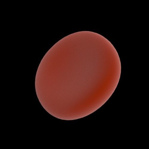 Red Blood Cell 3D model_3