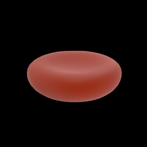 Red Blood Cell 3D model_2