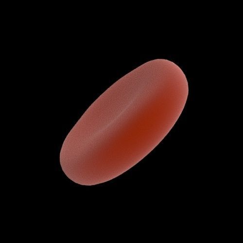 Red Blood Cell 3D model_4