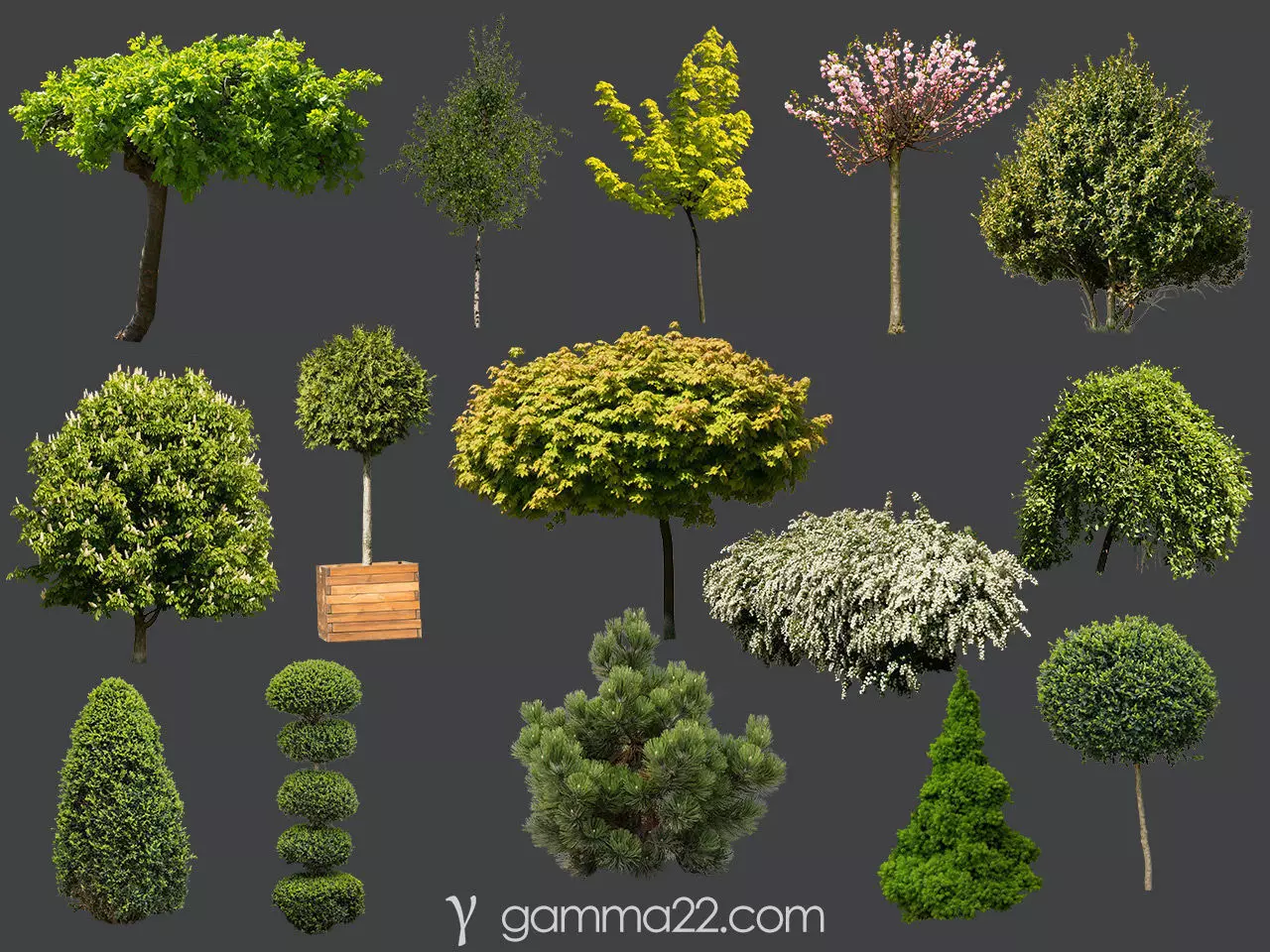 15 High Quality PNG Tree and Bush CUTOUTS Texture