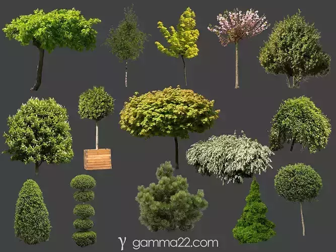 15 High Quality PNG Tree and Bush CUTOUTS Texture