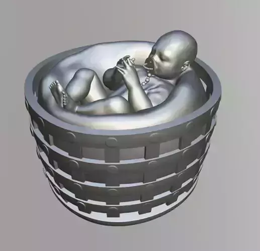 Baby in the basket 3D print model