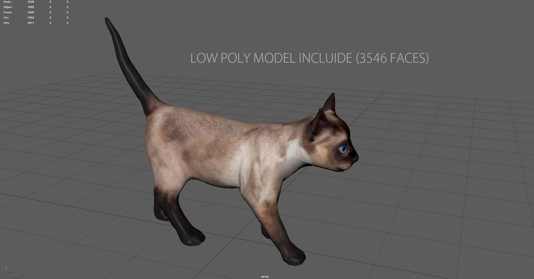 REALISTIC CAT siamese Low-poly 3D model_6