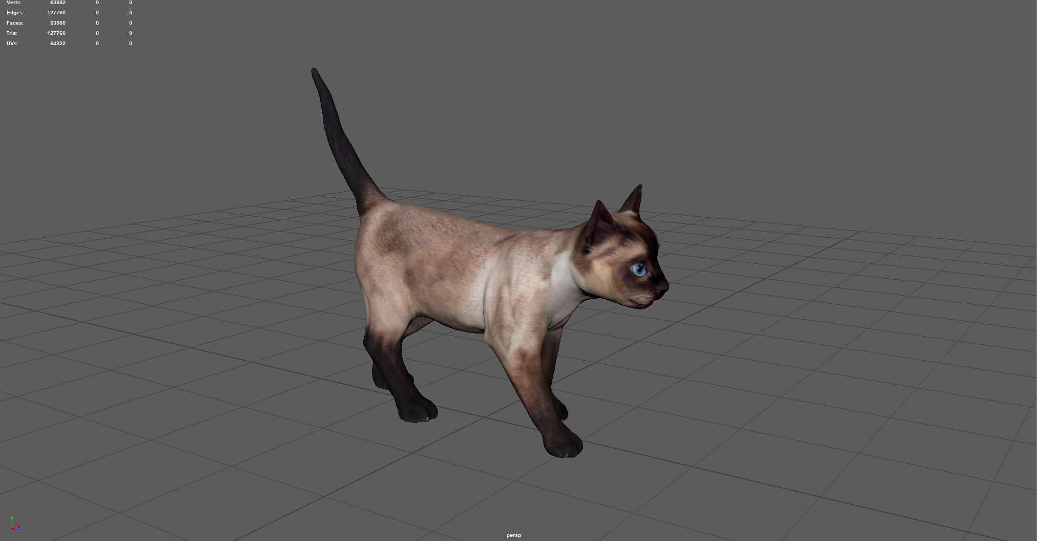 REALISTIC CAT siamese Low-poly 3D model_5