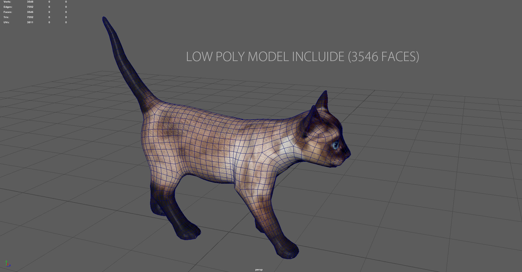 REALISTIC CAT siamese Low-poly 3D model_15