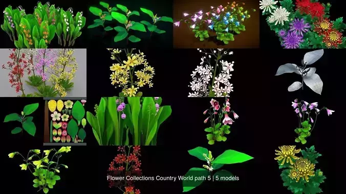 Flower Collections Country World path 5