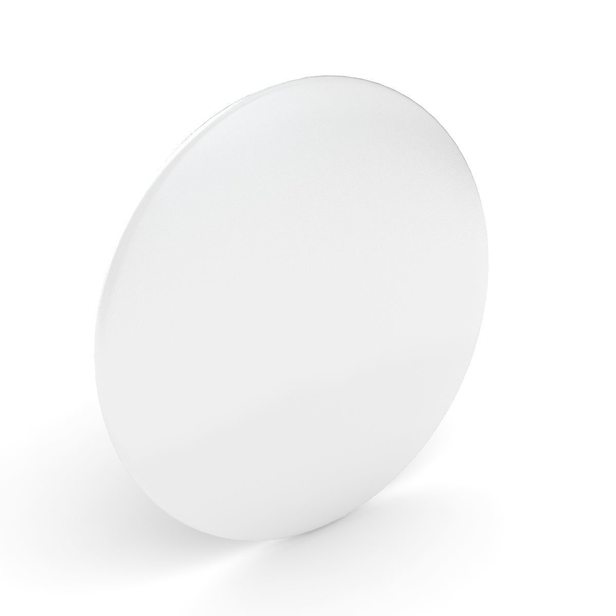 Blank Campaign Button 3D model_1