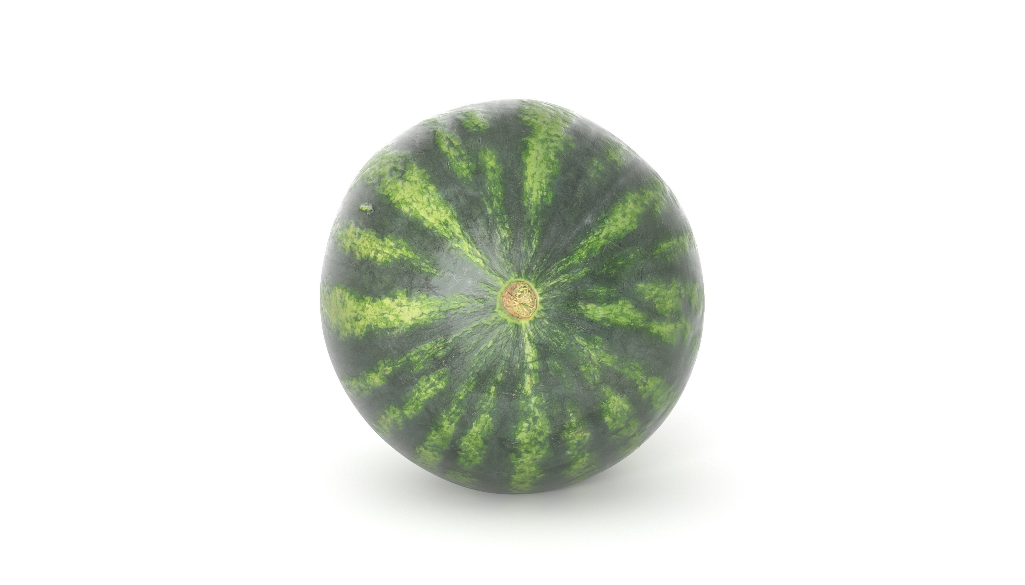 Watermelon 3D model  Photoscan  Melon Low-poly 3D model_5