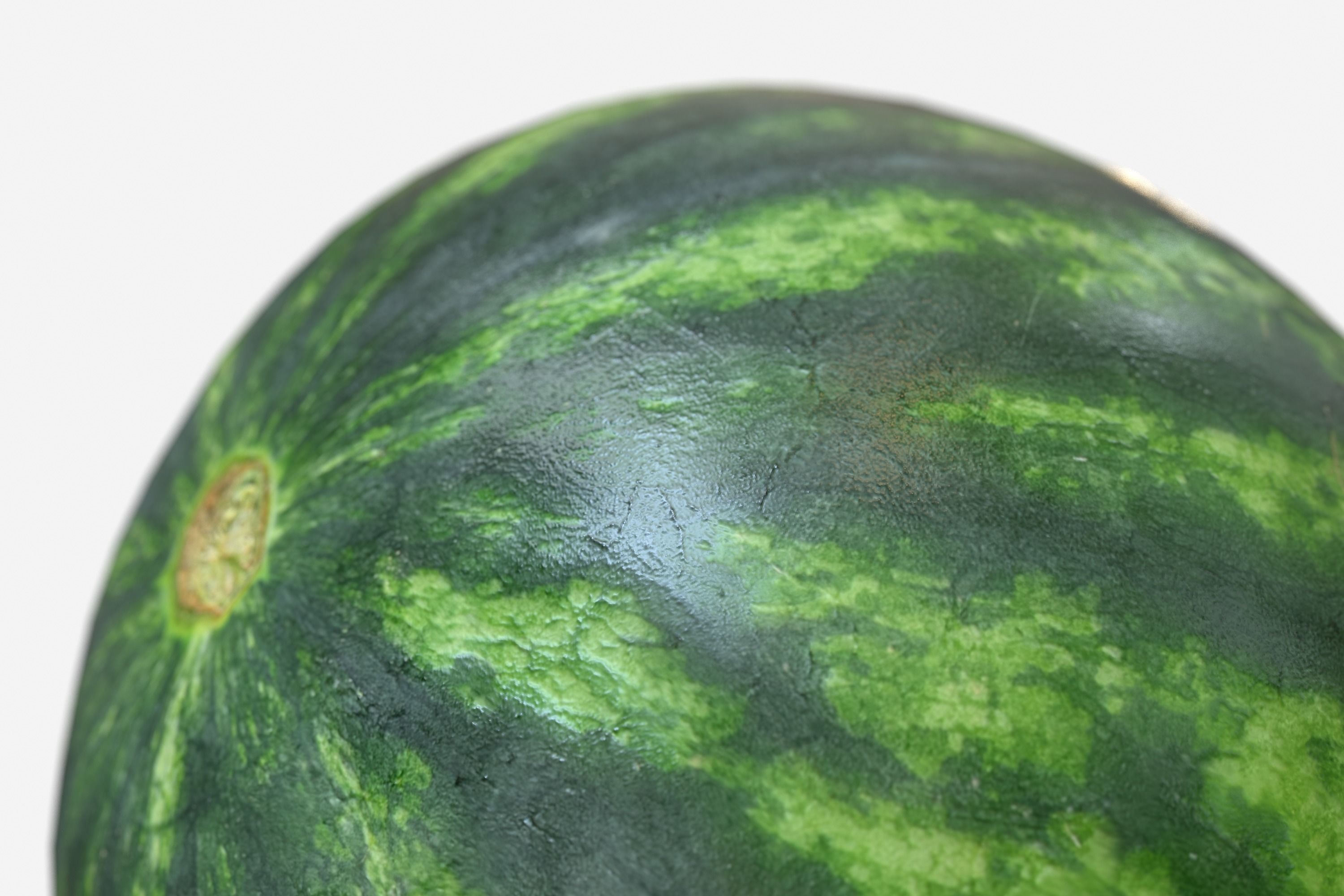 Watermelon 3D model  Photoscan  Melon Low-poly 3D model_8