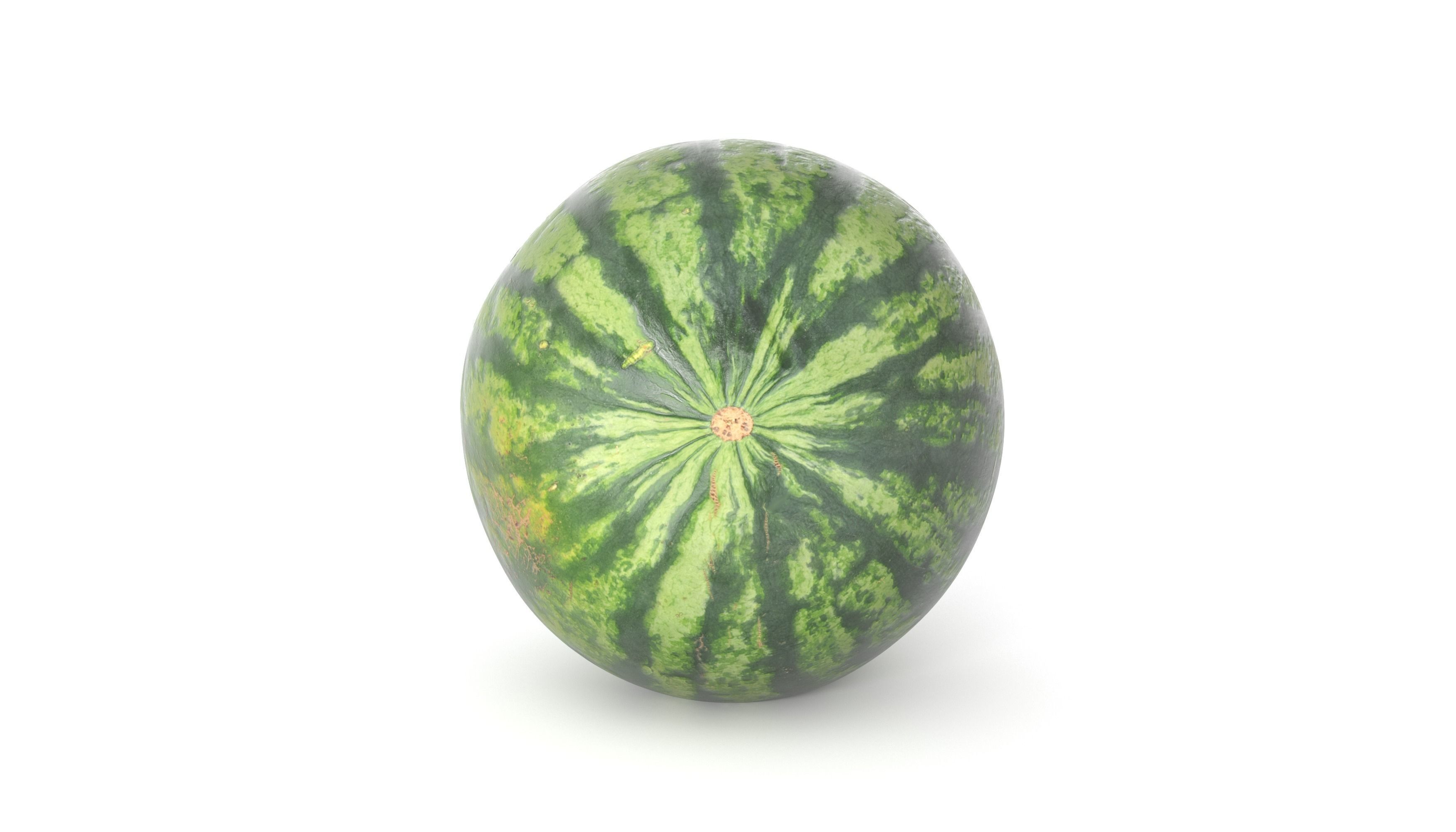 Watermelon 3D model  Photoscan  Melon Low-poly 3D model_4