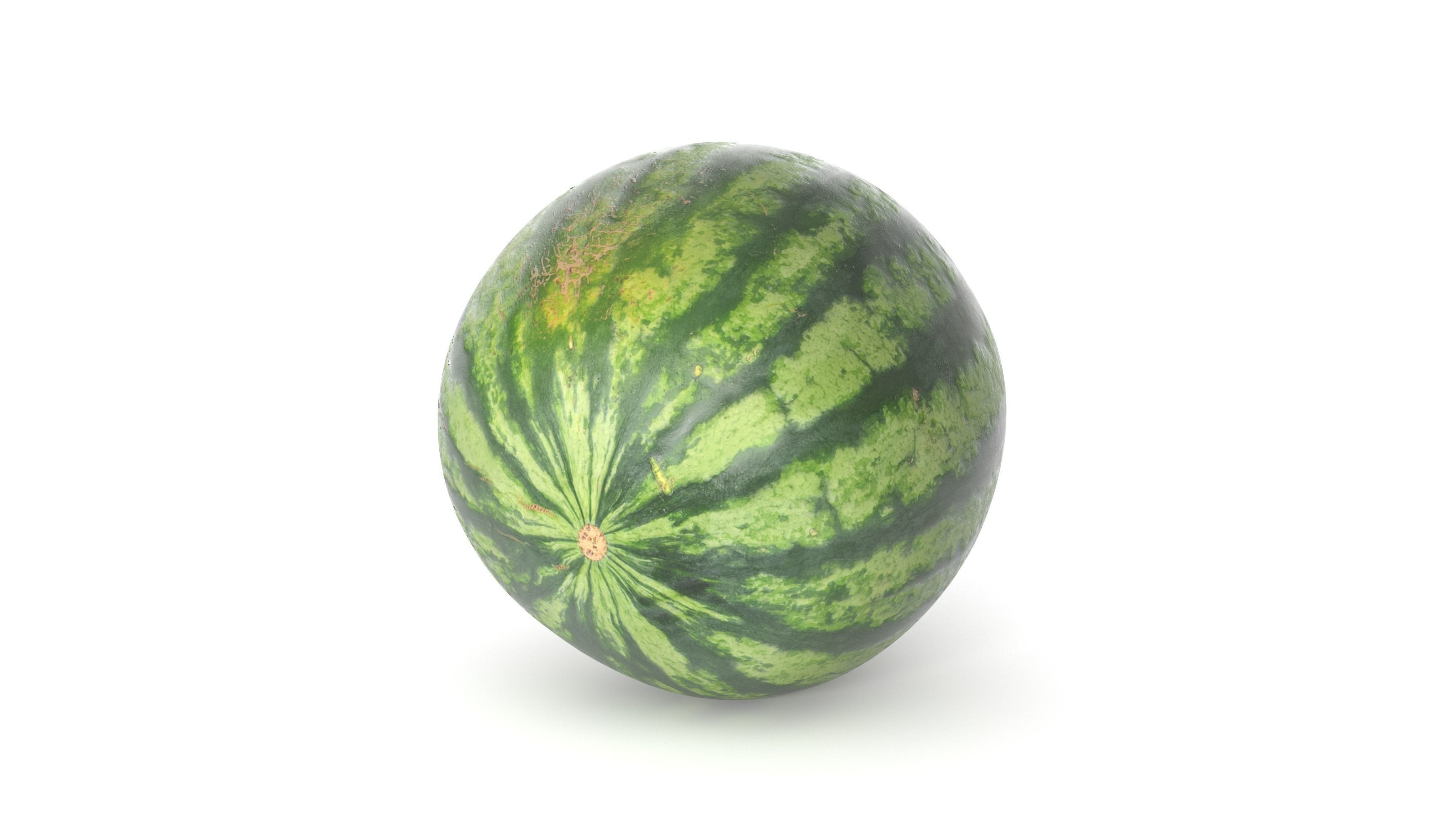 Watermelon 3D model  Photoscan  Melon Low-poly 3D model_2