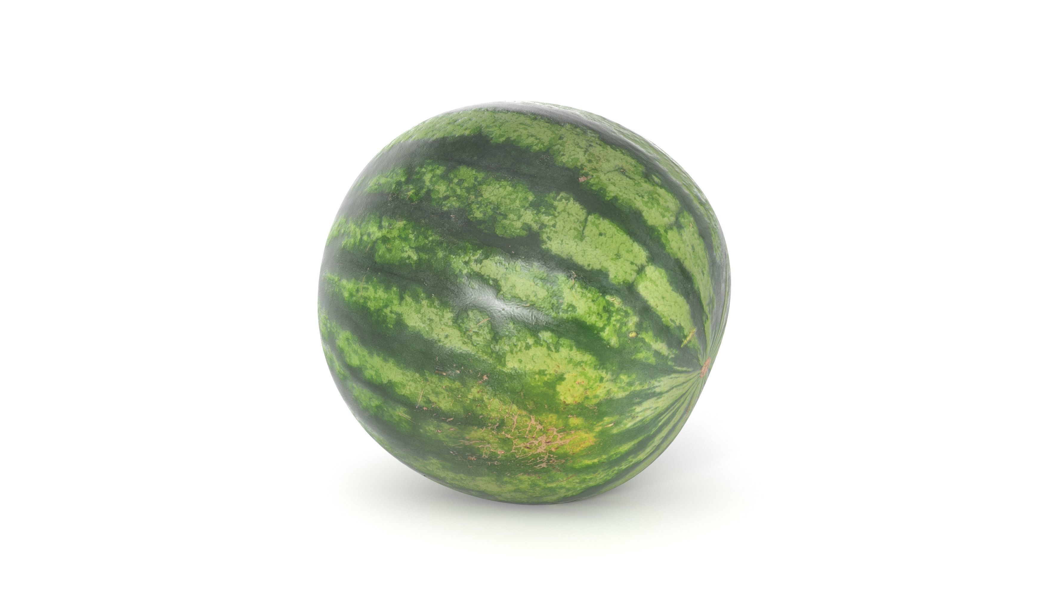 Watermelon 3D model  Photoscan  Melon Low-poly 3D model_3