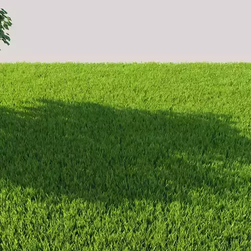 wild grass pack 509 3D model