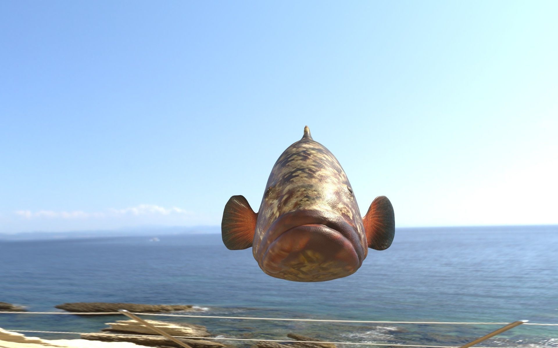 Grouper photorealistic sea fish 3d model Rigged Animated Low-poly 3D model_4