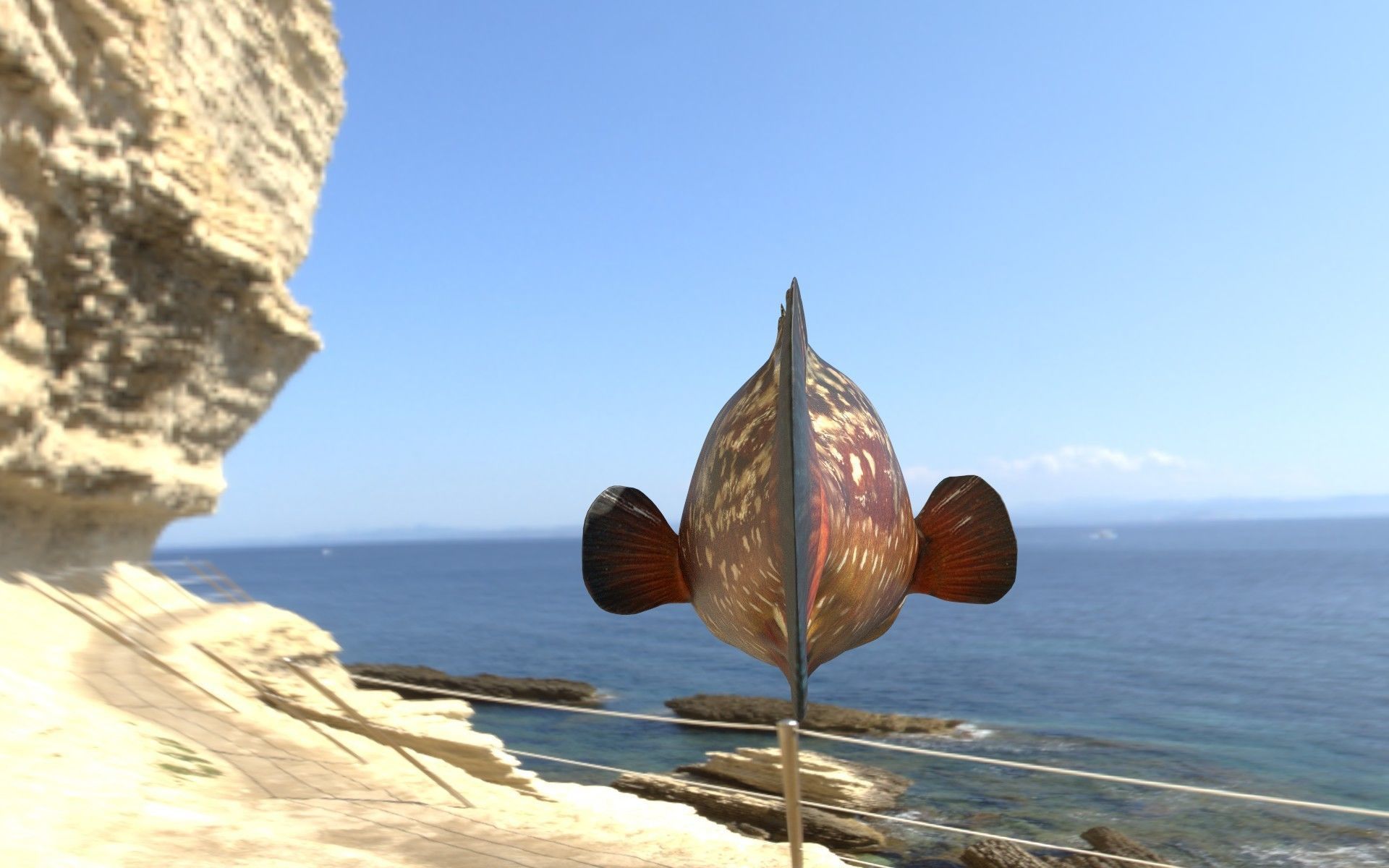 Grouper photorealistic sea fish 3d model Rigged Animated Low-poly 3D model_5