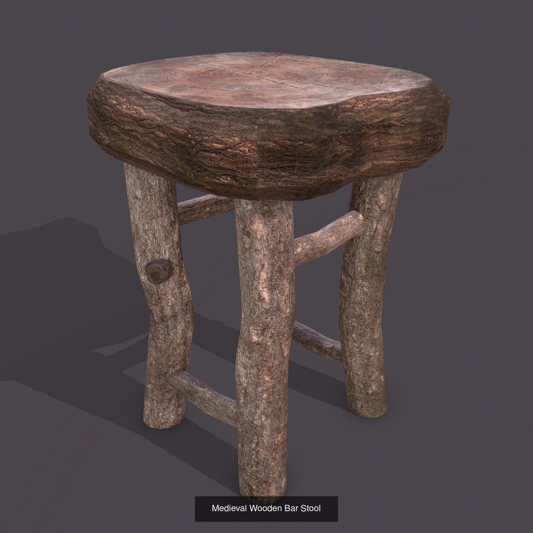 Medieval Tavern Dinner Scene  3D Model Collection_49