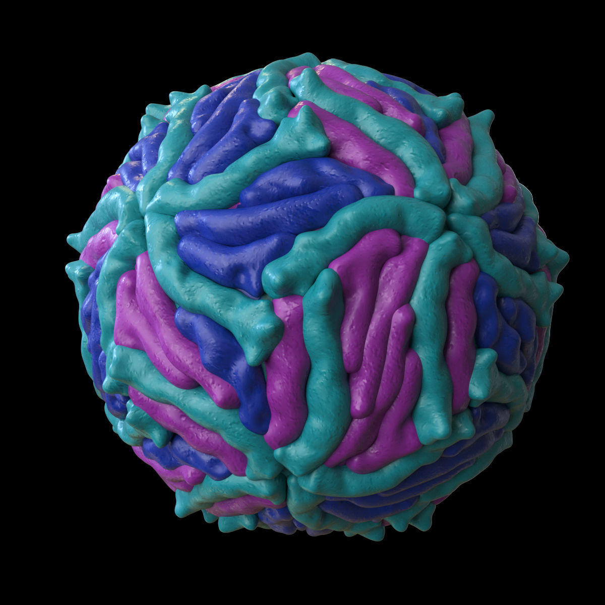 Zika Virus 3D model_1