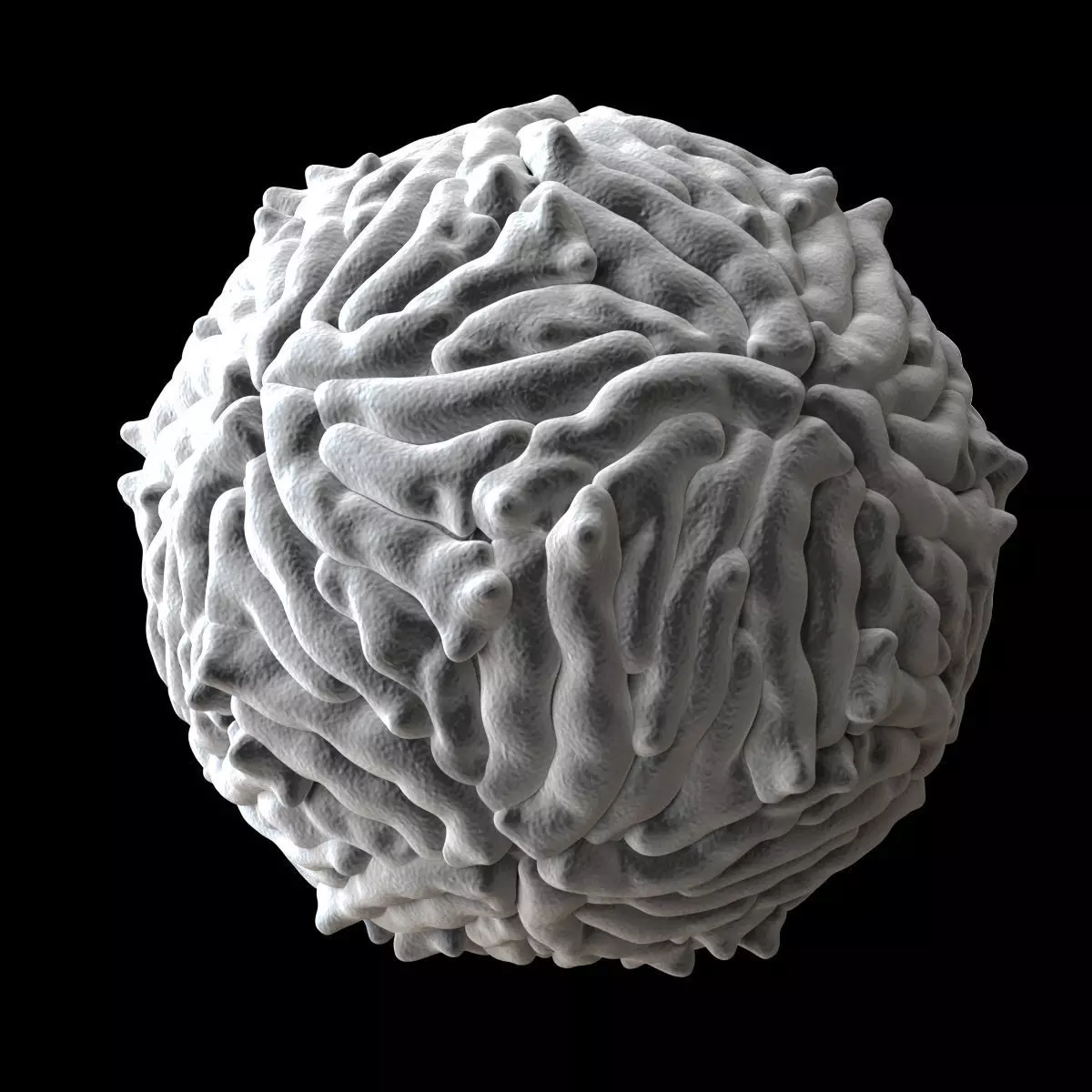 Zika Virus 3D model_0