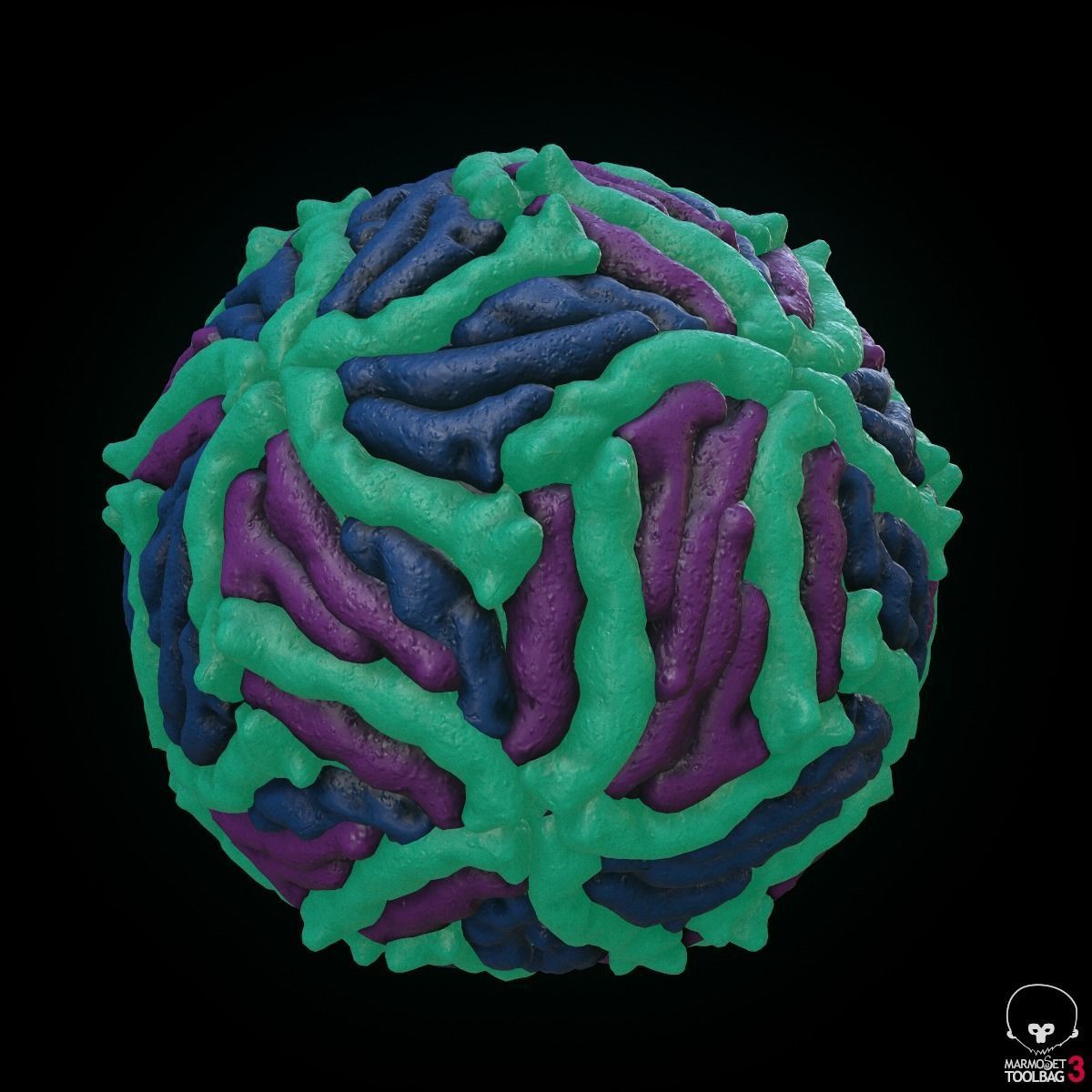 Zika Virus 3D model_5