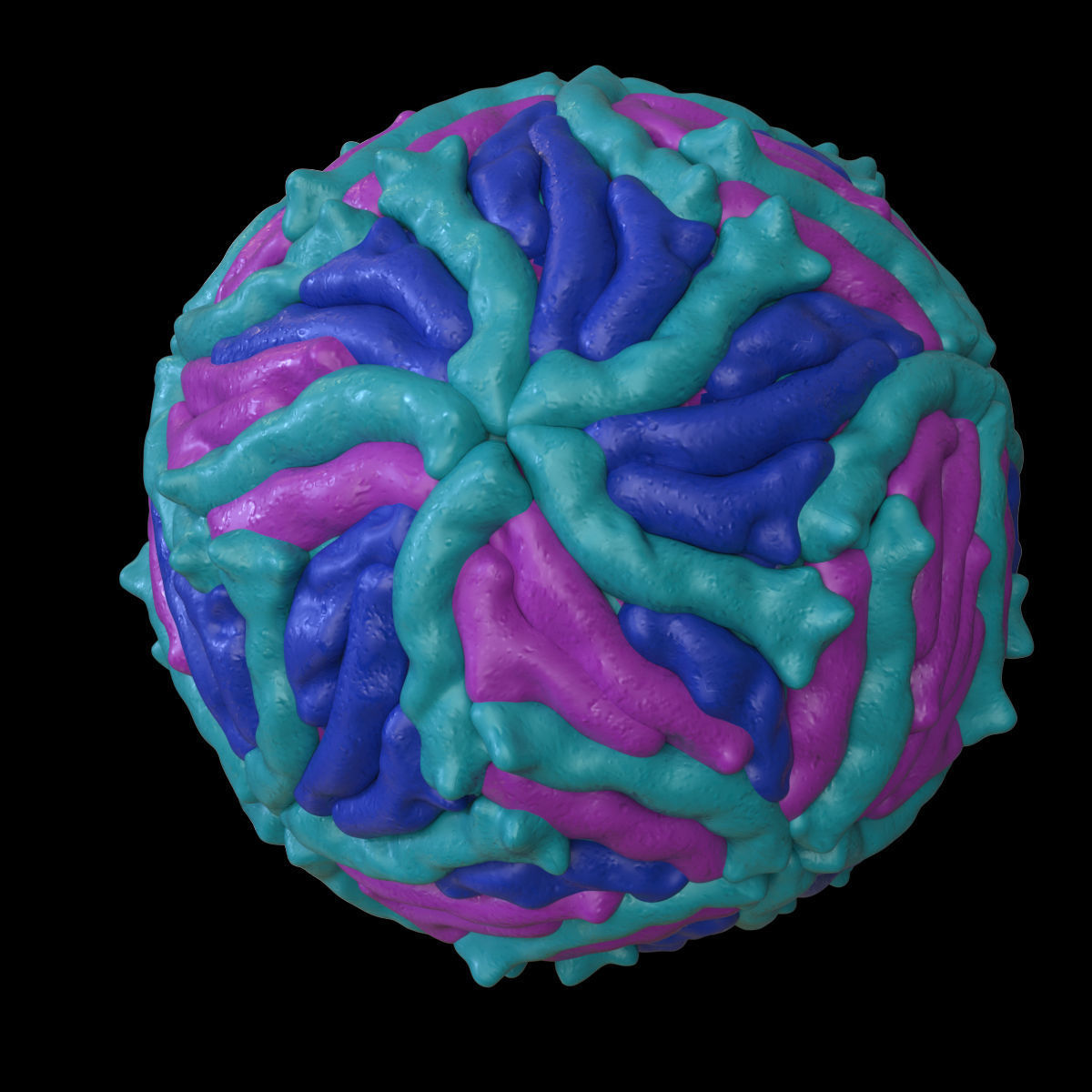 Zika Virus 3D model_2