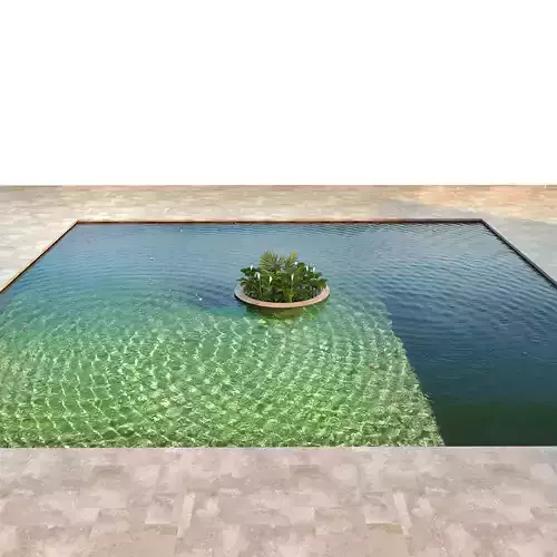 Bassin Set 01 - Koi fishs