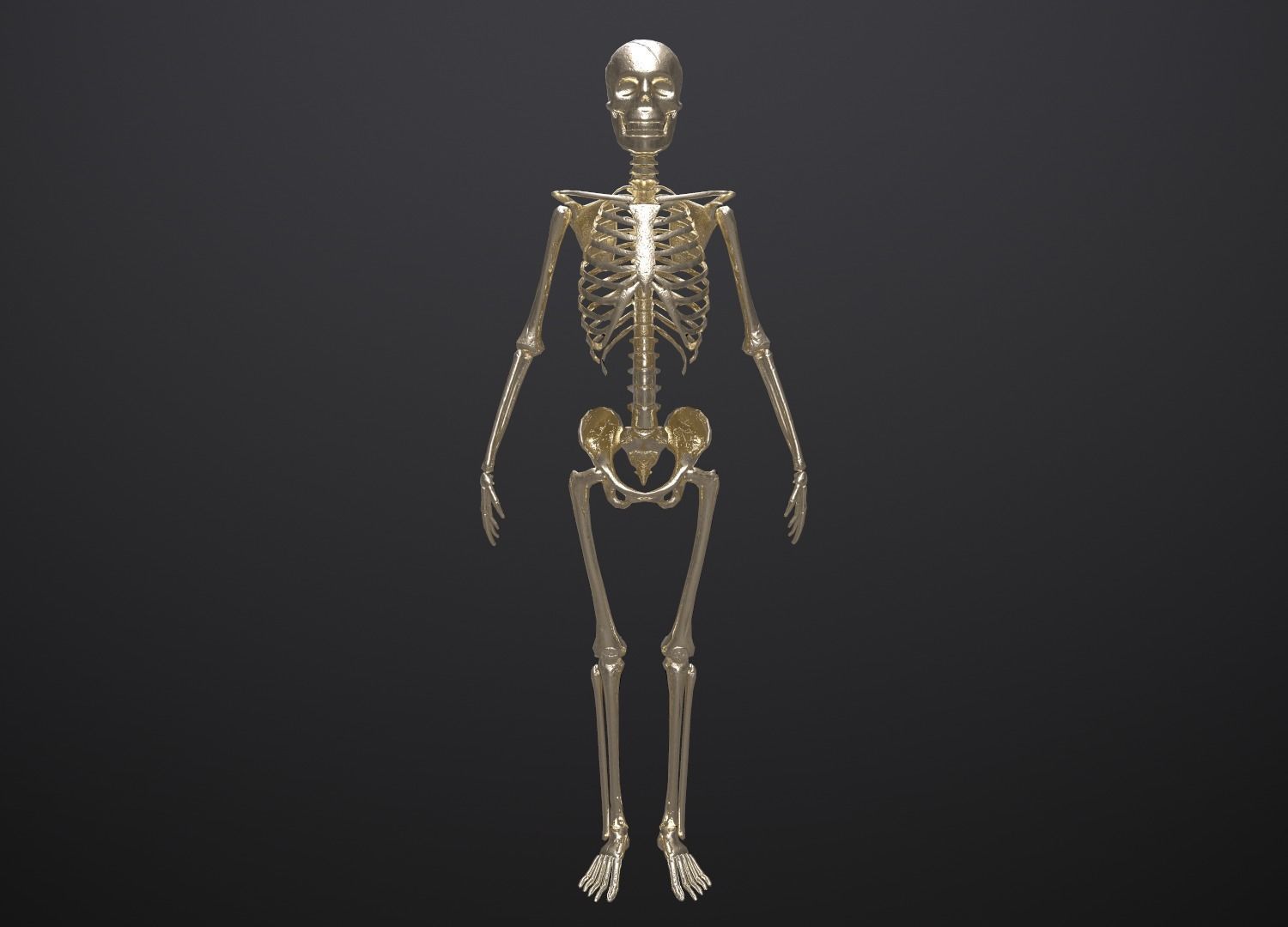 Substance Skeleton Army Low-poly 3D model_20