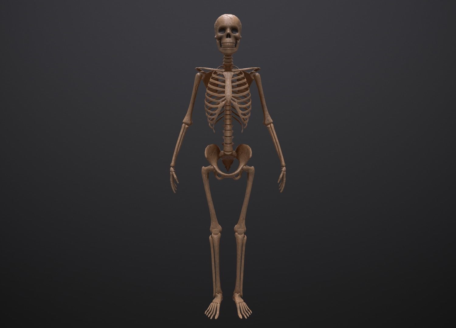 Substance Skeleton Army Low-poly 3D model_13