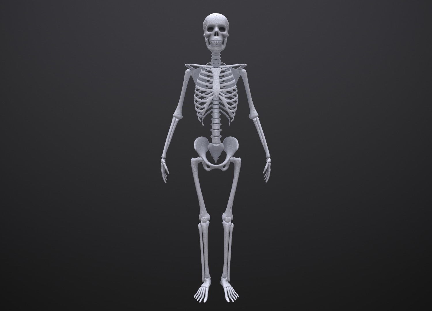 Substance Skeleton Army Low-poly 3D model_17