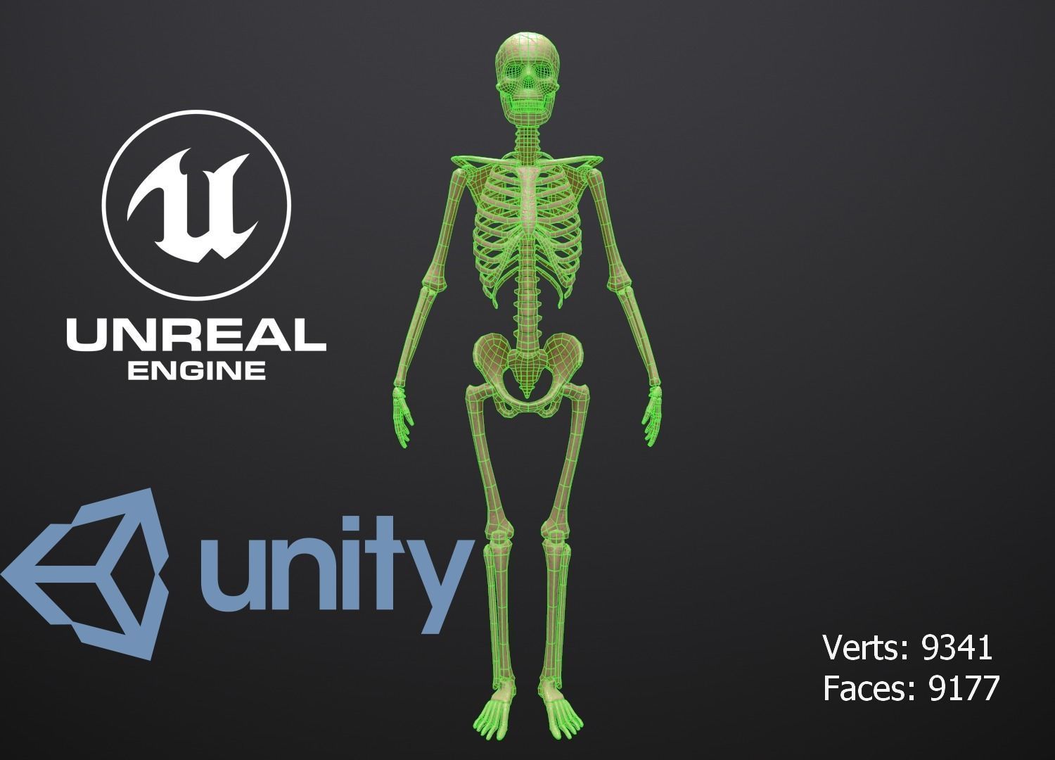 Substance Skeleton Army Low-poly 3D model_0