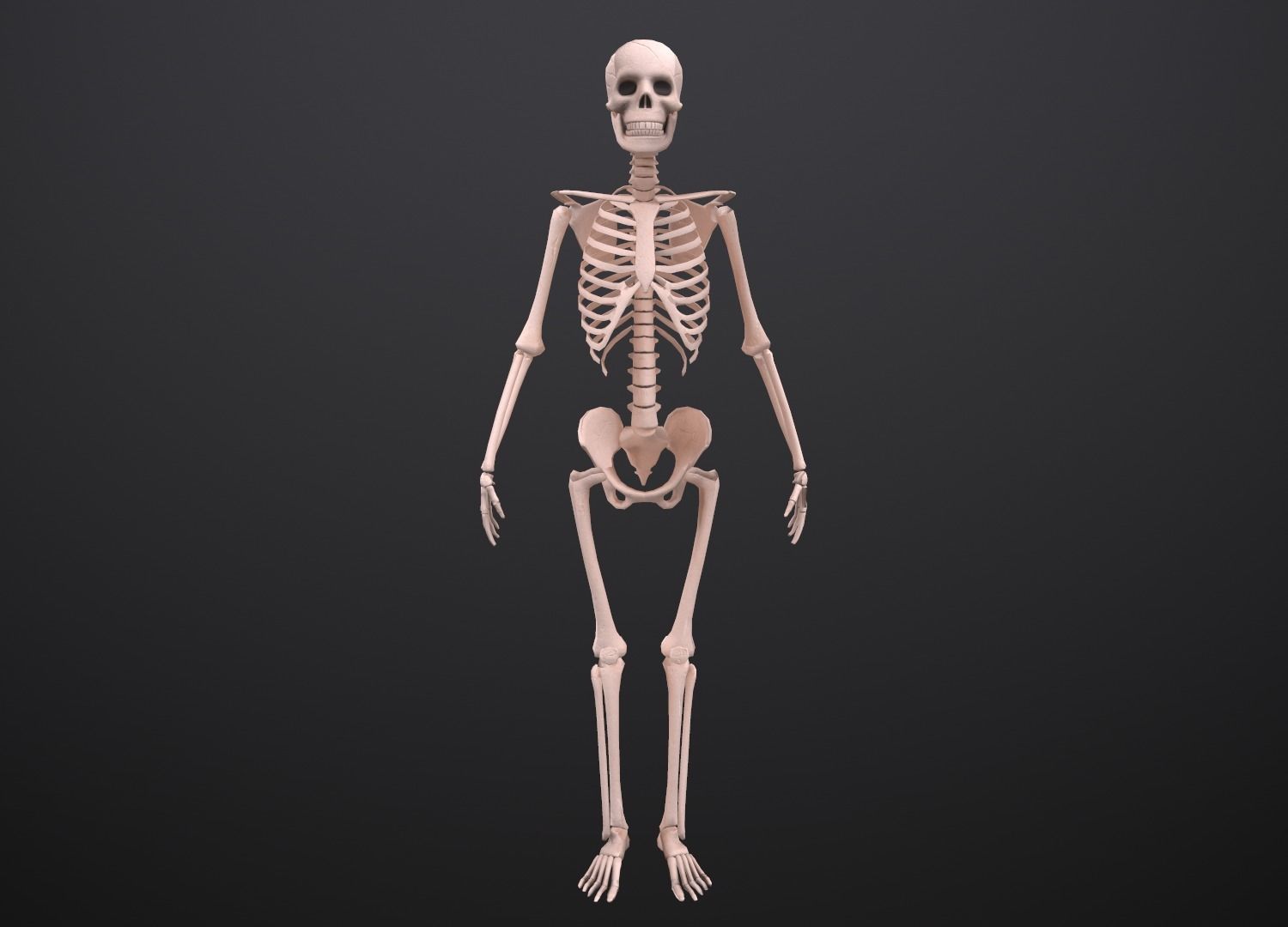Substance Skeleton Army Low-poly 3D model_23