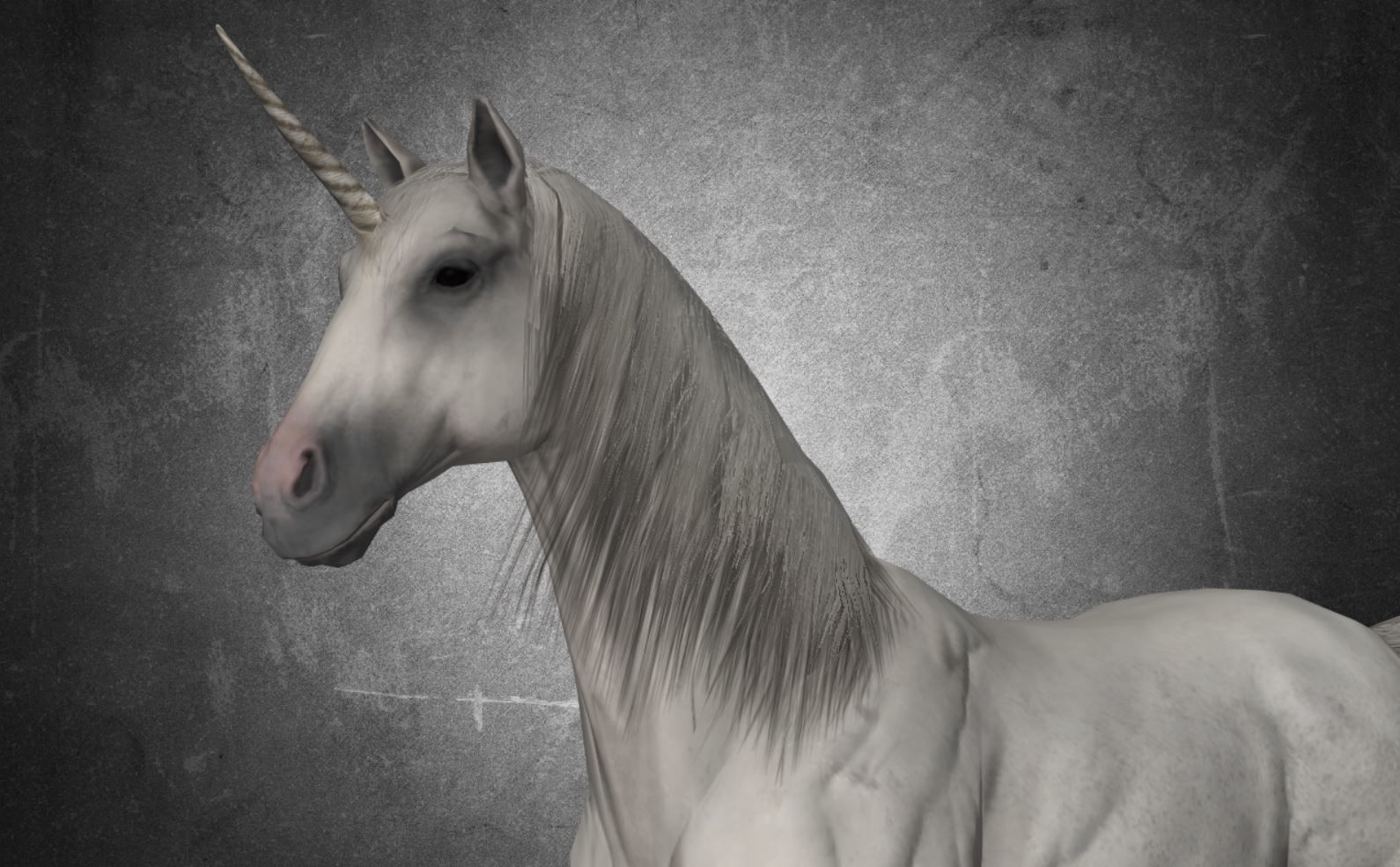 Horse - Unicorn No Gear 3D model_7
