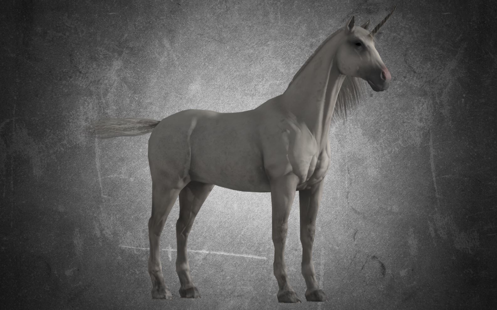 Horse - Unicorn No Gear 3D model_5