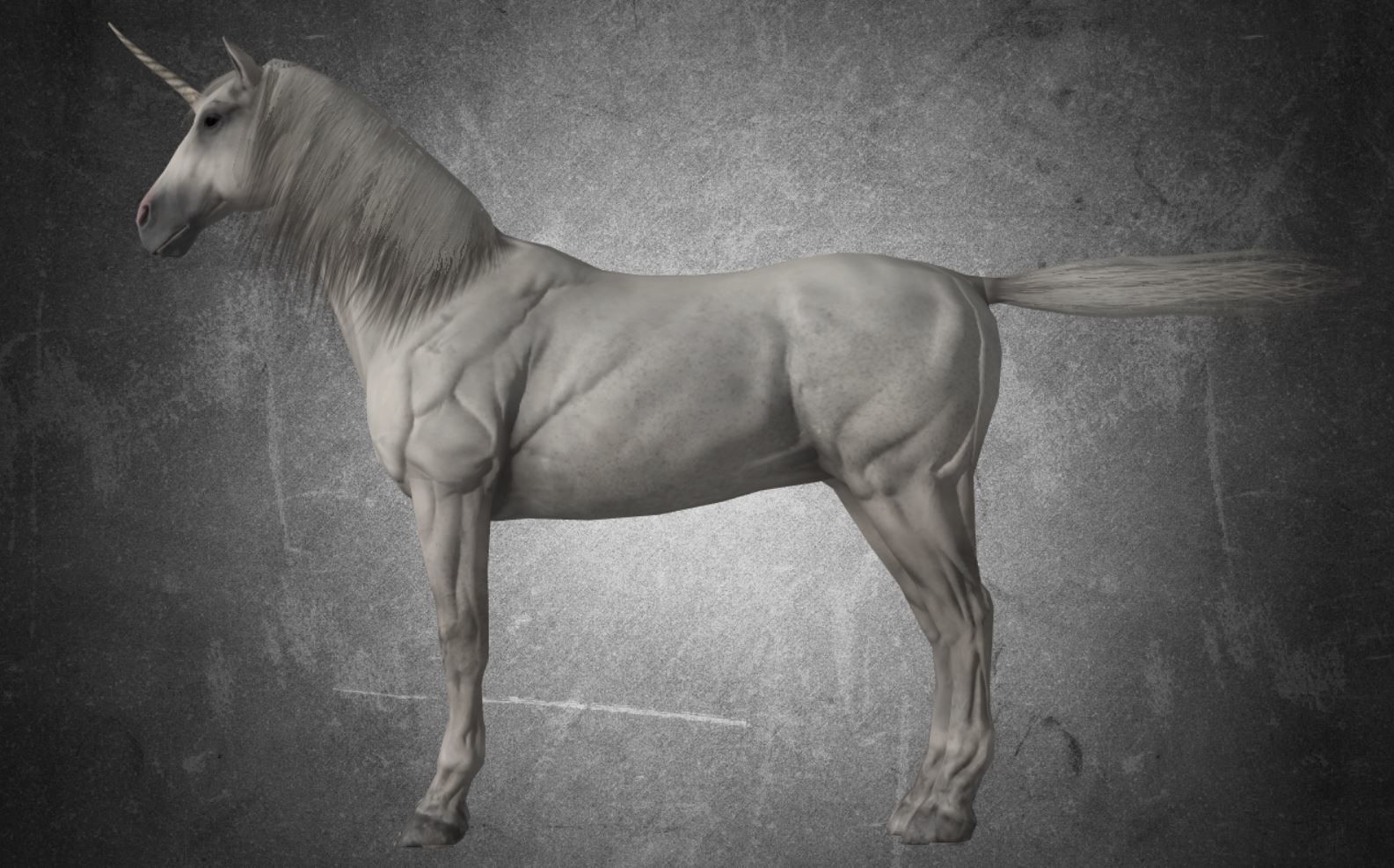 Horse - Unicorn No Gear 3D model_3