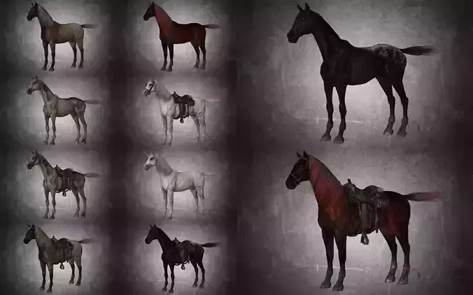 Horse - Pack 01