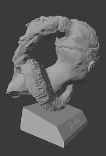 Senua portrait Senua Sacrifice Hellblade