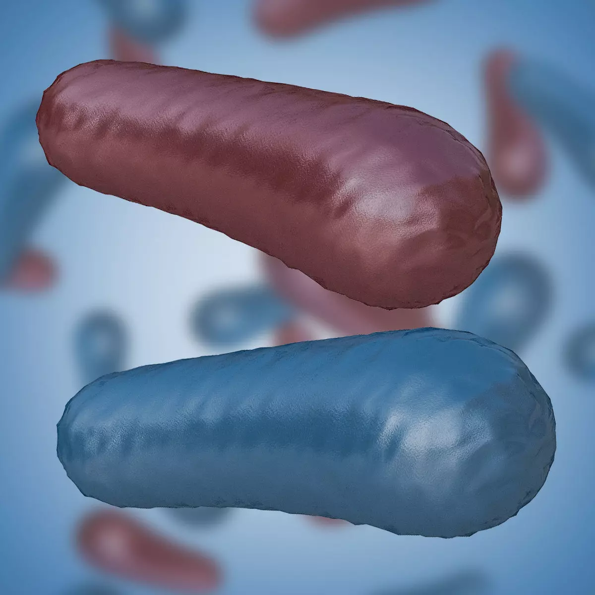 Bacterium 3 bacteria in background Low-poly 3D model